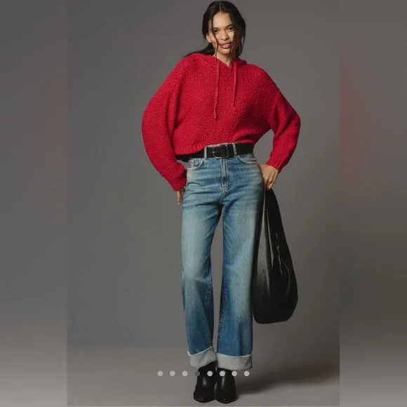 NWT Anthropologie Pilcro Sailcloth Hooded Sweater - Picture 2 of 9